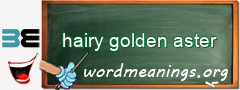 WordMeaning blackboard for hairy golden aster